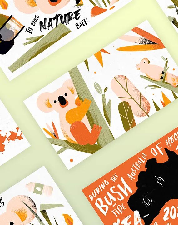 Verschiedene Szenen aus einem illustrierten Erklärvideo über Koalas in Australien